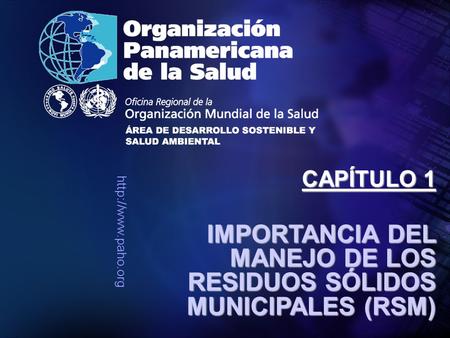 IMPORTANCIA DEL MANEJO DE LOS RESIDUOS SÓLIDOS MUNICIPALES (RSM) CAPÍTULO 1.