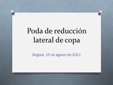 Poda de reducción lateral de copa Bogotá, 15 de agosto de 2011.