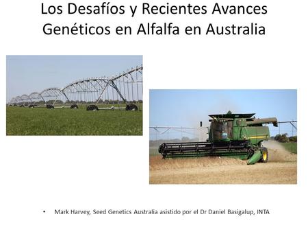 Los Desafíos y Recientes Avances Genéticos en Alfalfa en Australia