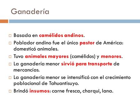 Ganadería  Basada en camélidos andinos.  Poblador andino fue el único pastor de América: domesticó animales.  Tuvo animales mayores (camélidos) y menores.