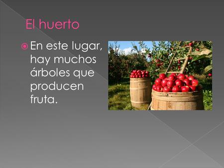 El huerto En este lugar, hay muchos árboles que producen fruta.