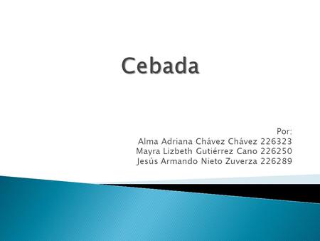 Cebada Por: Alma Adriana Chávez Chávez