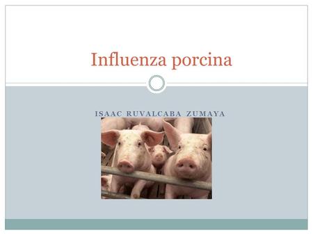 ISAAC RUVALCABA ZUMAYA Influenza porcina. La gripe porcina (también conocida como influenza porcina o gripe del cerdo) es una enfermedad infecciosa causada.