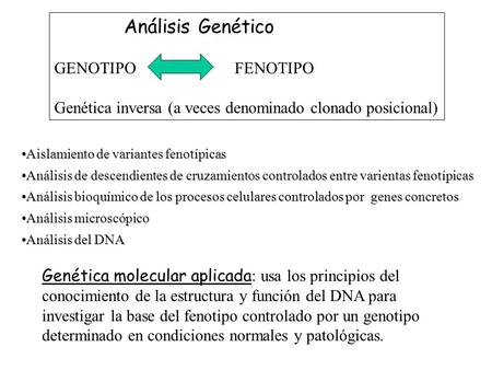 Genética inversa (a veces denominado clonado posicional)