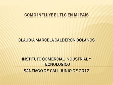 CLAUDIA MARCELA CALDERON BOLAÑOS INSTITUTO COMERCIAL INDUSTRIAL Y TECNOLOGICO SANTIAGO DE CALI, JUNIO DE 2012.