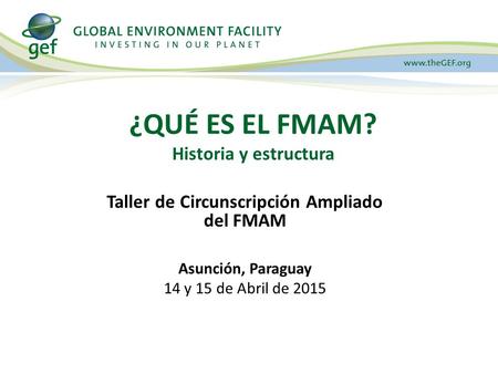 ¿QUÉ ES EL FMAM? Historia y estructura