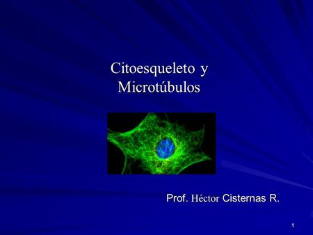 Citoesqueleto y Microtúbulos