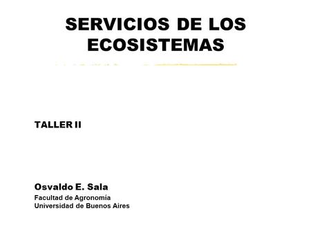 SERVICIOS DE LOS ECOSISTEMAS TALLER II Osvaldo E. Sala Facultad de Agronomía Universidad de Buenos Aires.