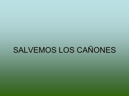 SALVEMOS LOS CAÑONES. LOS CAÑONES ES UN MONUMENTO NATURAL, PROTEGIDO POR LA NORMATIVA DEL AYUNTAMIENTO DE JAÉN, POR LEYES ANDALUZAS Y POR LA LEY DEL PATRIMONIO.