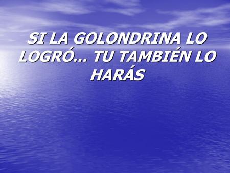 SI LA GOLONDRINA LO LOGRÓ... TU TAMBIÉN LO HARÁS.