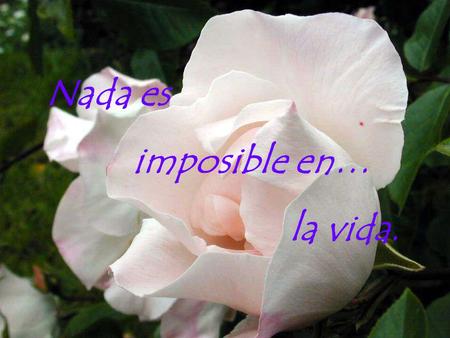 Nada es imposible en… la vida..