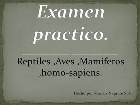 Reptiles,Aves,Mamíferos,homo-sapiens. Hecho por Marcos Negrete Soto.