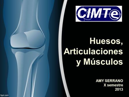 Huesos, Articulaciones y Músculos