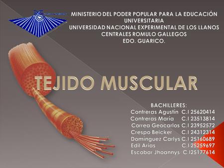 MINISTERIO DEL PODER POPULAR PARA LA EDUCACIÓN UNIVERSITARIA