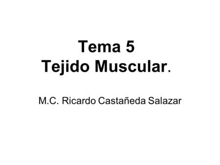 M.C. Ricardo Castañeda Salazar