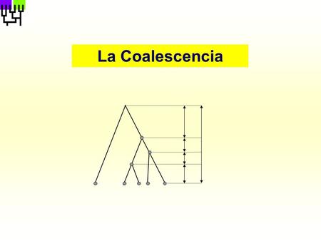 La Coalescencia.