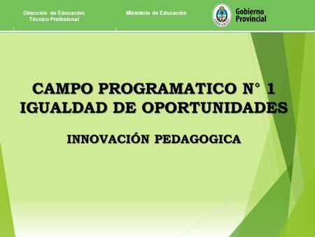 CAMPO PROGRAMATICO N° 1 IGUALDAD DE OPORTUNIDADES INNOVACIÓN PEDAGOGICA Dirección de Educación Técnico Profesional Ministerio de Educación.