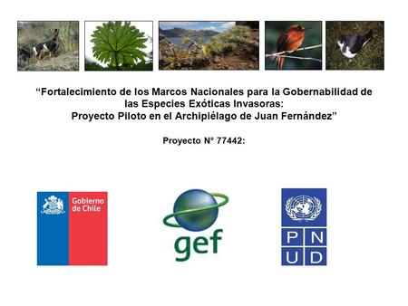 “Fortalecimiento de los Marcos Nacionales para la Gobernabilidad de las Especies Exóticas Invasoras: Proyecto Piloto en el Archipiélago de Juan Fernández”