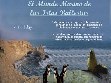 El Mundo Marino de las Islas Ballestas Este lugar es refugio de lobos marinos, pingüinos de Humboldt, flamencos o parihuanas y muchas otras aves. Se pueden.