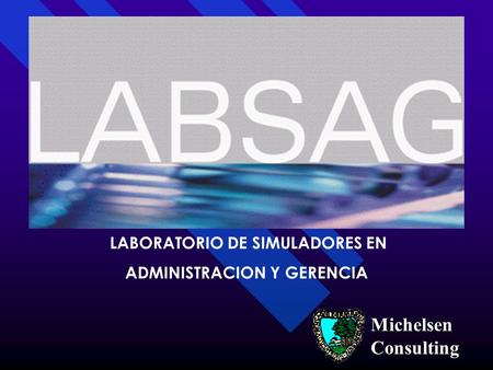 LABORATORIO DE SIMULADORES EN ADMINISTRACION Y GERENCIA Michelsen Consulting.