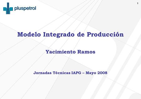 Modelo Integrado de Producción Jornadas Técnicas IAPG – Mayo 2008
