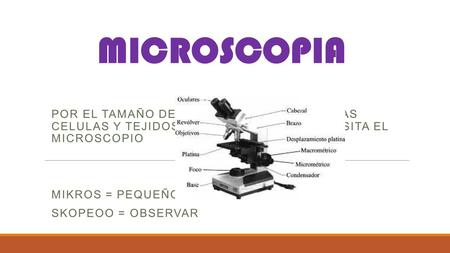 MICROSCOPIA POR EL TAMAÑO DE LOS COMPONENTES DE LAS CELULAS Y TEJIDOS ANIMAL Y VEGETAL NECESITA EL MICROSCOPIO MIKROS = PEQUEÑO SKOPEOO = OBSERVAR.