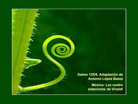 Salmo 125/6. Adaptación de Antonio López Baeza