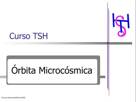 Curso TSH Órbita Microcósmica © Copyright Graciela Bárbulo 2005.
