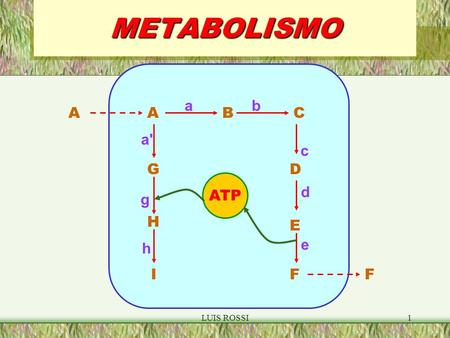 METABOLISMO a b A A B C a' c G D ATP d g H E e h I F F LUIS ROSSI.