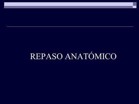 REPASO ANATÓMICO.