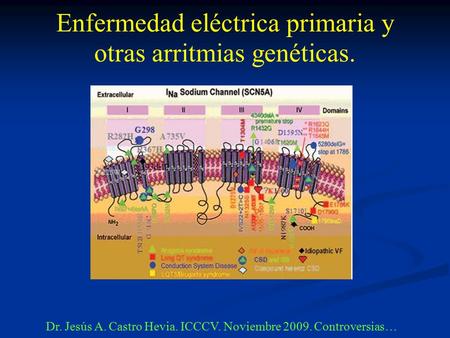 Enfermedad eléctrica primaria y otras arritmias genéticas. Dr. Jesús A. Castro Hevia. ICCCV. Noviembre 2009. Controversias…