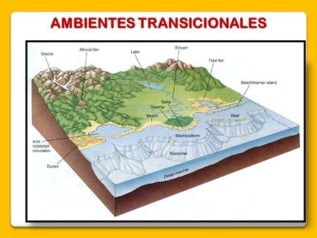AMBIENTES TRANSICIONALES