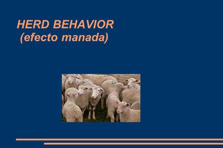 HERD BEHAVIOR (efecto manada)