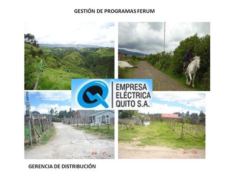 GESTIÓN DE PROGRAMAS FERUM GERENCIA DE DISTRIBUCIÓN.