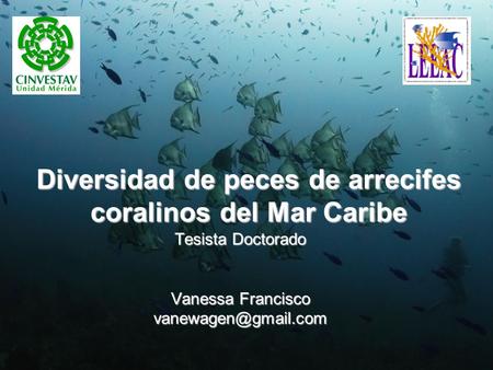 Diversidad de peces de arrecifes coralinos del Mar Caribe