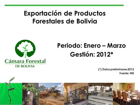 1 Exportación de Productos Forestales de Bolivia Periodo: Enero – Marzo Gestión: 2012* (*) Datos preliminares 2012 Fuente: INE.