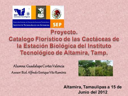 Alumna: Guadalupe Cortes Valencia Asesor: Biol. Alfredo Enrique Vite Ramírez Altamira, Tamaulipas a 15 de Junio del 2012.