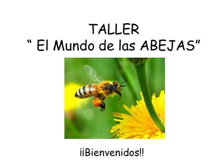 TALLER “ El Mundo de las ABEJAS”