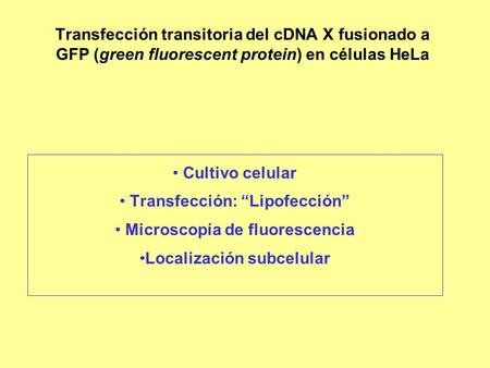 Transfección: “Lipofección” Microscopía de fluorescencia