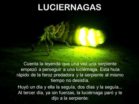 LUCIERNAGAS Cuenta la leyenda que una vez una serpiente empezó a perseguir a una luciérnaga. Esta huía rápido de la feroz predadora y la serpiente al.