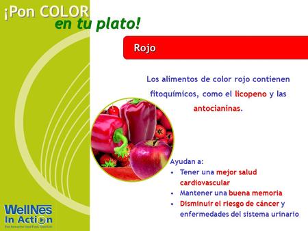 En tu plato! ¡Pon COLOR Rojo licopeno antocianinas Los alimentos de color rojo contienen fitoquímicos, como el licopeno y las antocianinas. Ayudan a: mejor.