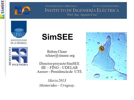 SimSEE Ruben Chaer Director proyecto SimSEE IIE – FING – UDELAR Asesor – Presidencia de UTE. Marzo 2013 Montevideo – Uruguay.