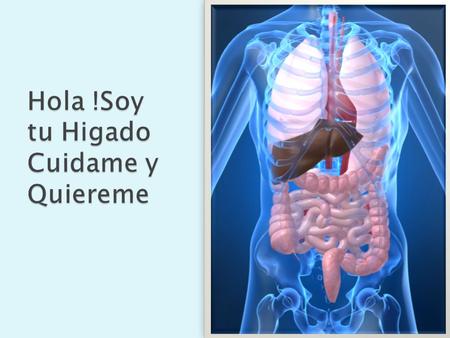  El Higado es el organo mas grande y pesado del cuerpo?  El higado es el unico organo que vuelve a crecer despues de que se le quito un pedazo?  El.