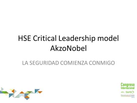 HSE Critical Leadership model AkzoNobel