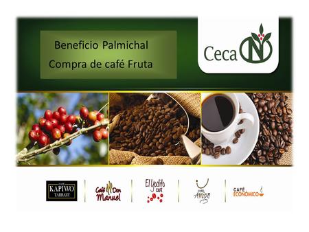 Beneficio Palmichal Compra de café Fruta Beneficio Palmichal Compra de café Fruta.
