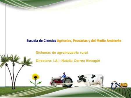 Sistemas de agroindustria rural