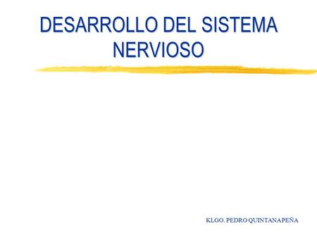 DESARROLLO DEL SISTEMA NERVIOSO