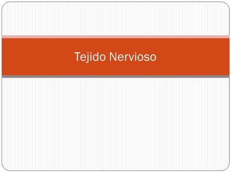 Tejido Nervioso.