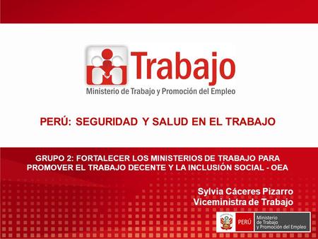 PERÚ: SEGURIDAD Y SALUD EN EL TRABAJO