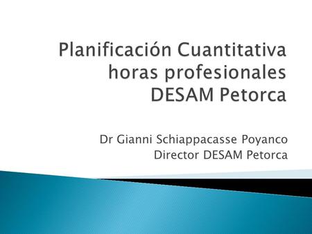 Planificación Cuantitativa horas profesionales DESAM Petorca